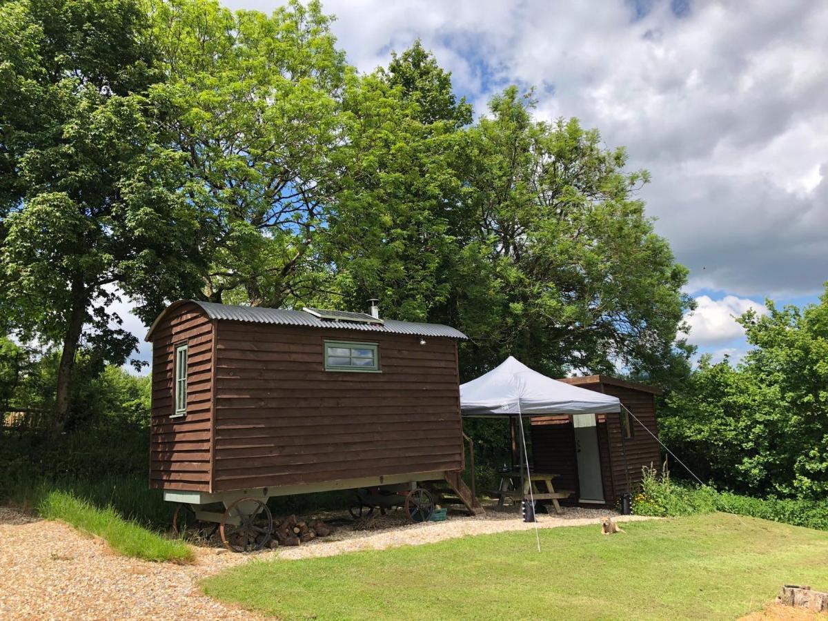 The Shepherds Hut At The Shippen, Tiphayes Honiton Exterior photo